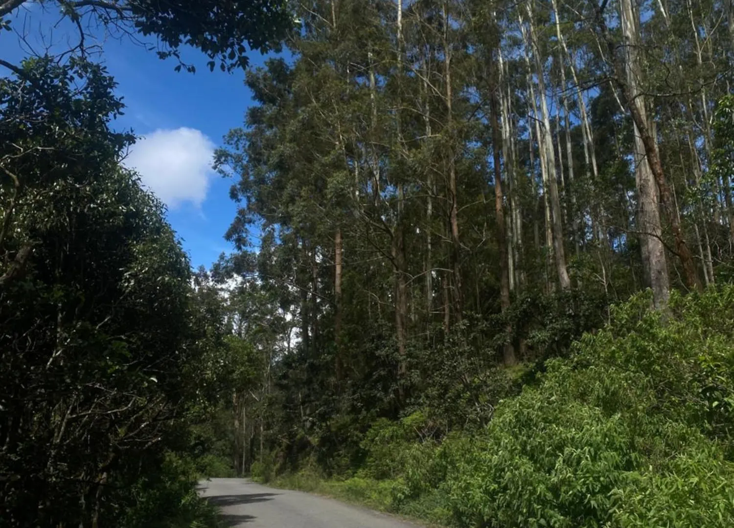 Horton Guest House Nuwara Eliya Sri Lanka