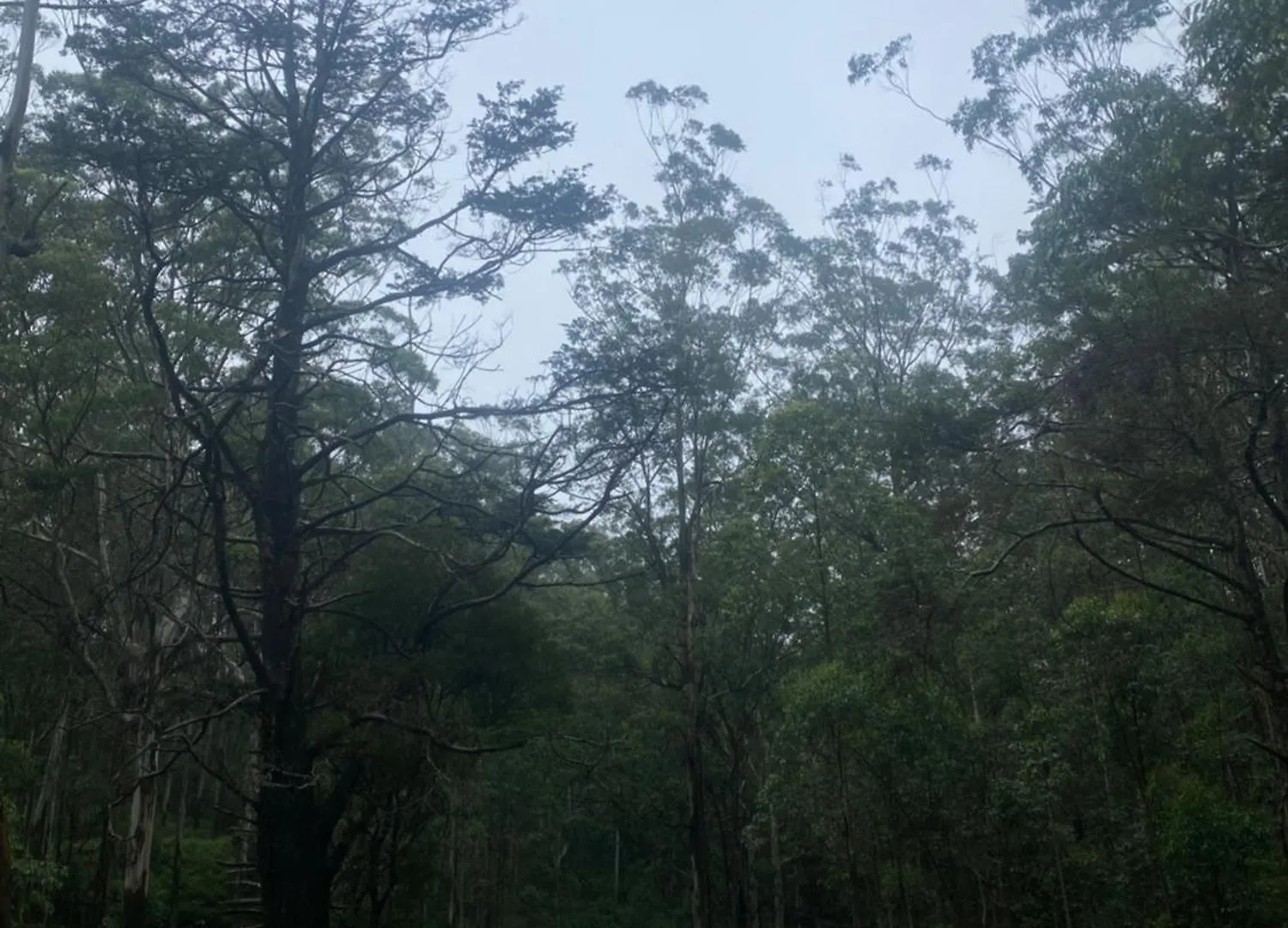 Horton Guest House Nuwara Eliya